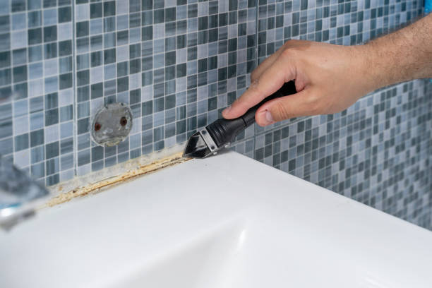 Best Toxic Mold Removal  in Wailuku, HI